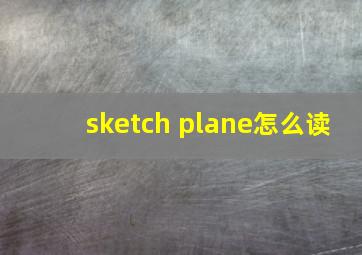 sketch plane怎么读